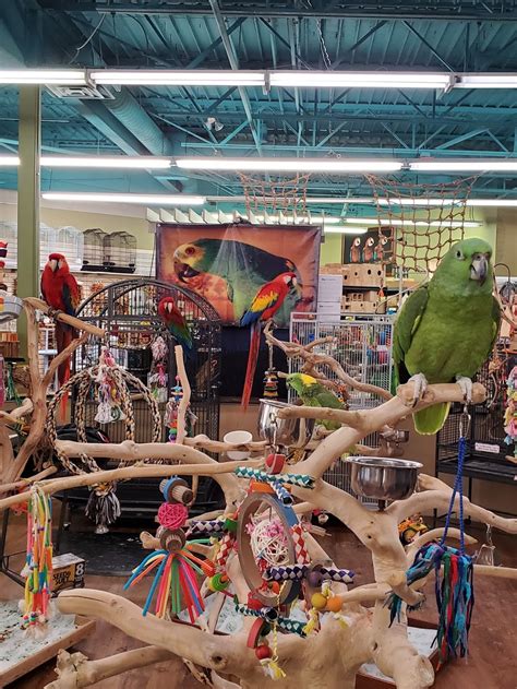 Feeding pet birds the right foods is important for their health. We offer pick up at the store in Stroudsburg PA 18360. For more info please call 646-496-5005. Thank you! Read more. Hybrid Ruby Macaw $ 2,500. A Beautiful Ruby Macaw is available!